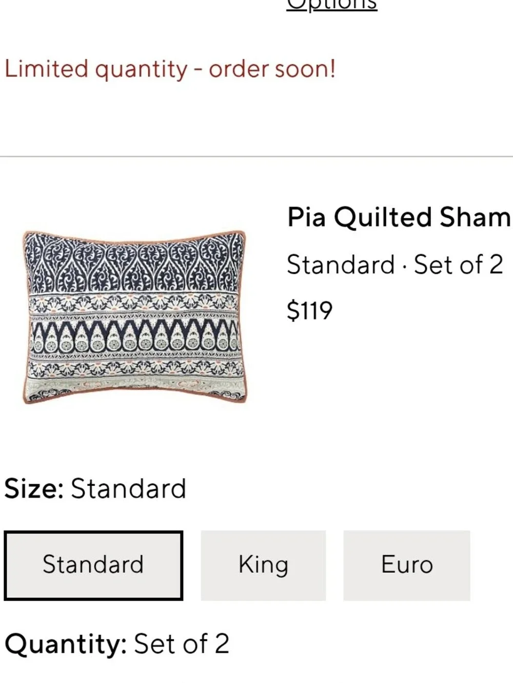 2 Pottery Barn PIA quilted Standard Pillow Shams India Block Print Boho Bedding